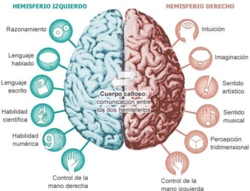 Conciencia: cosmos y física cuántica